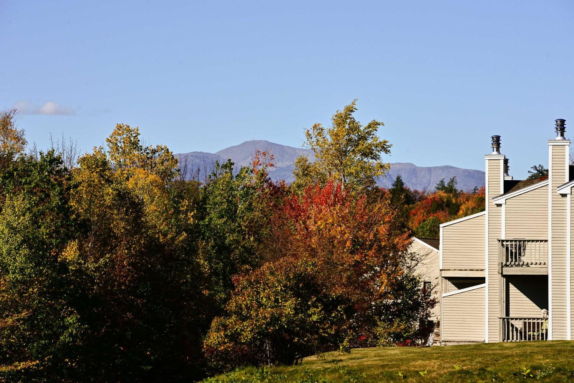Bartlett Condo With Mountain Views Near Ski Resorts! Exterior foto